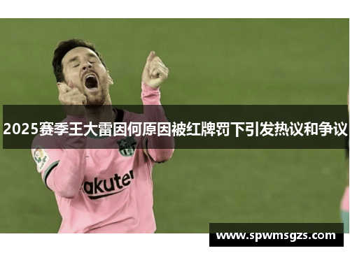 2025赛季王大雷因何原因被红牌罚下引发热议和争议 2025赛季王大雷因何原因被红牌罚下引发热议和争议