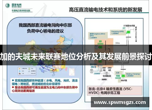 加的夫城未来联赛地位分析及其发展前景探讨